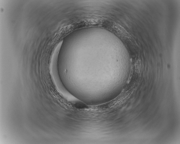 X0000059840961200511111740