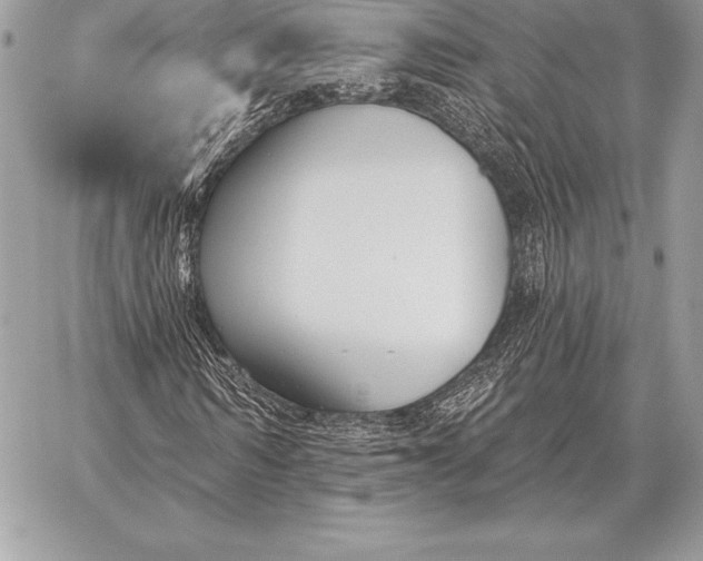 X0000059840962200511111740