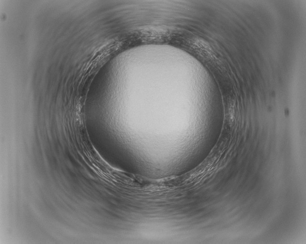 X0000059840964200511111740