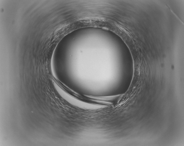 X0000059840965200511111740