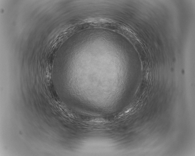 X0000059840966200511111740