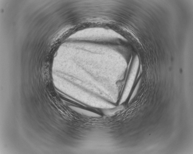 X0000059840968200511111740