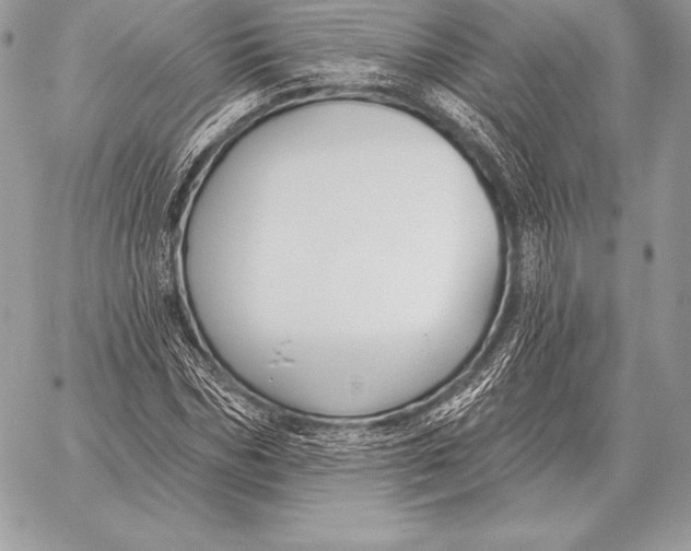 X0000059840970200511111740