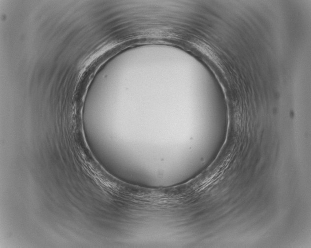 X0000059840971200511111740