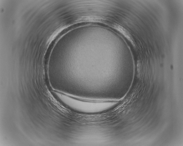 X0000059840972200511111740