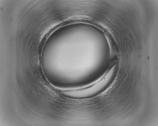 X0000059840973200511111740