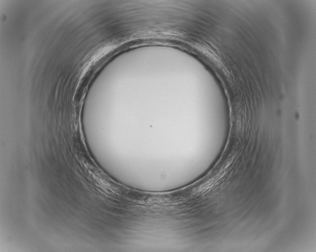 X0000059840974200511111740