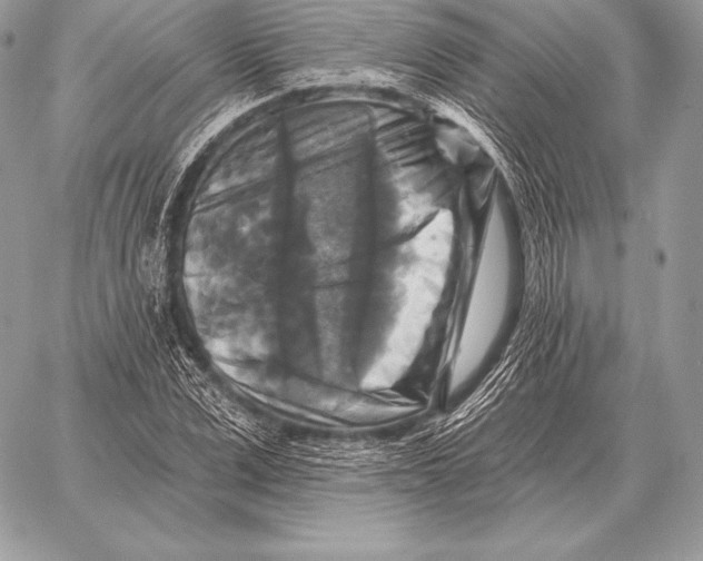 X0000059840975200511111740