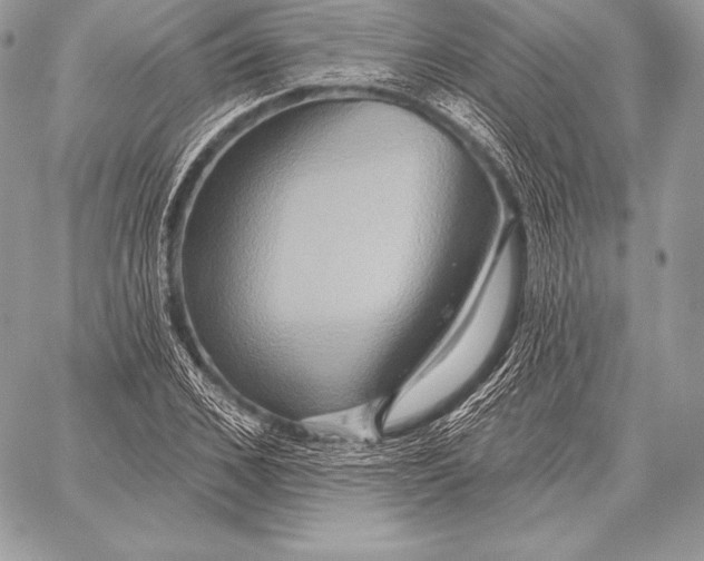 X0000059840976200511111740