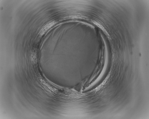 X0000059840977200511111740