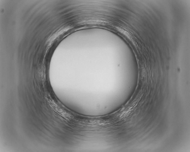 X0000059840979200511111740