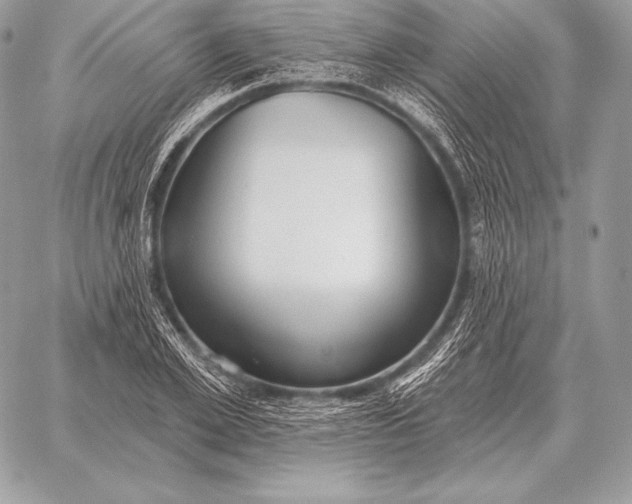 X0000059840981200511111740