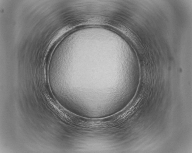 X0000059840982200511111740