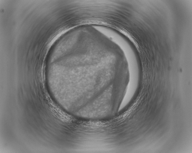 X0000059840983200511111740