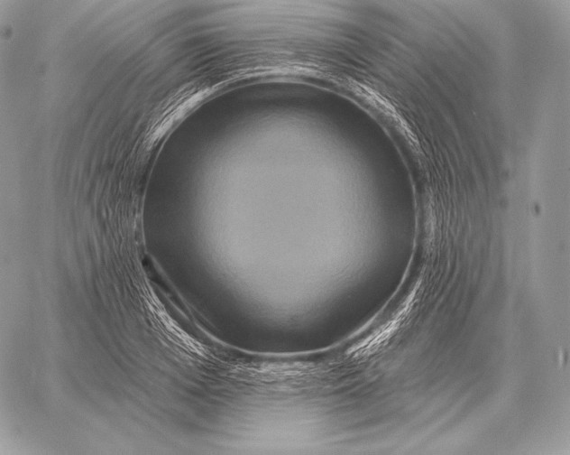 X0000059840985200511111740