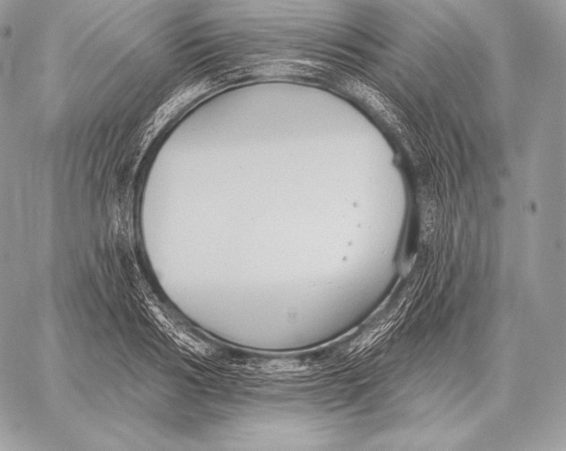 X0000059840986200511111740