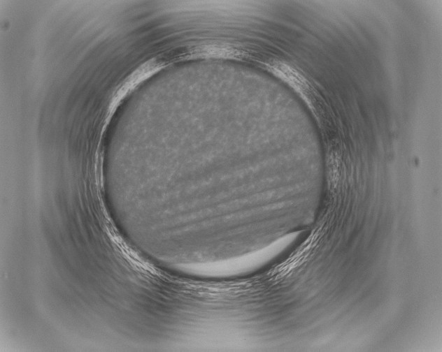 X0000059840987200511111740