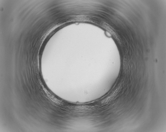 X0000059840988200511111740