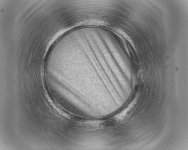 X0000059840989200511111740