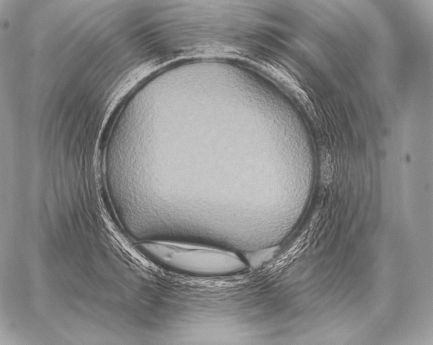 X0000059840990200511111740