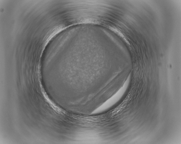 X0000059840991200511111740