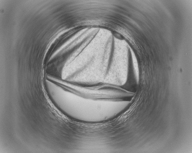 X0000059840992200511111740