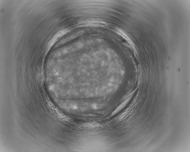 X0000059840994200511111740