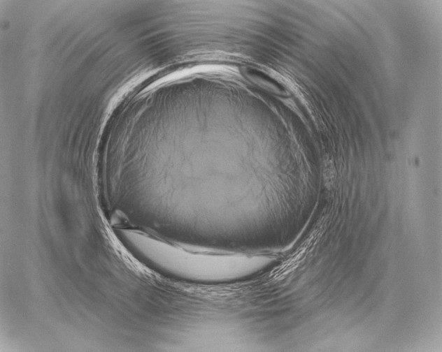 X0000059840995200511111740