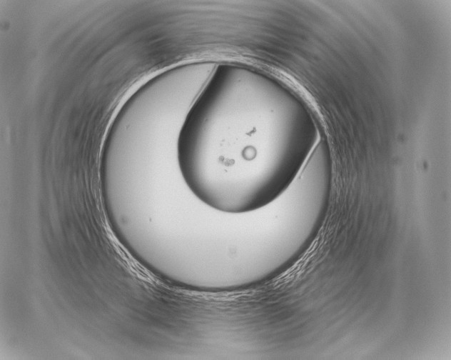 X0000059840996200511111740