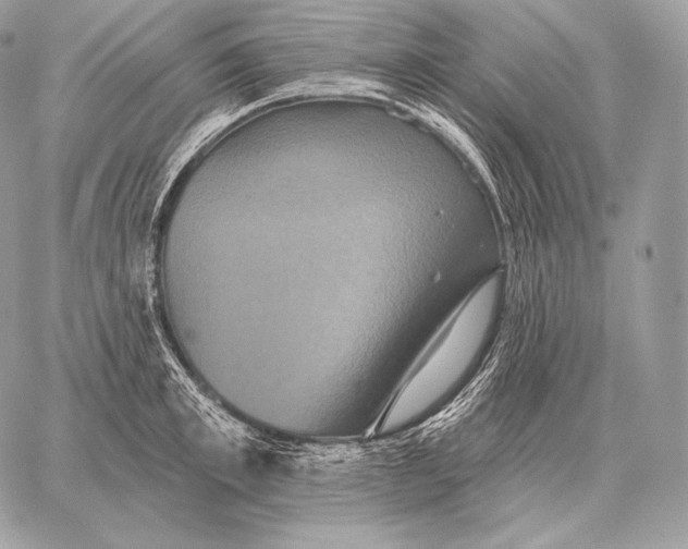 X0000059840997200511111740