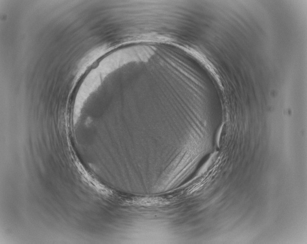 X0000059840998200511111740