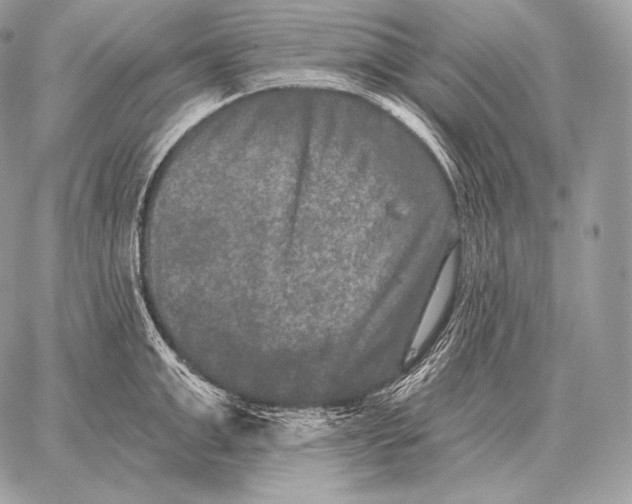 X0000059840999200511111740