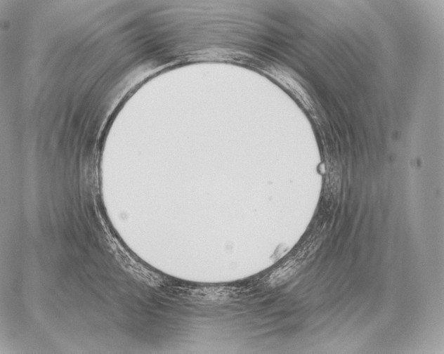 X0000059841000200511111740