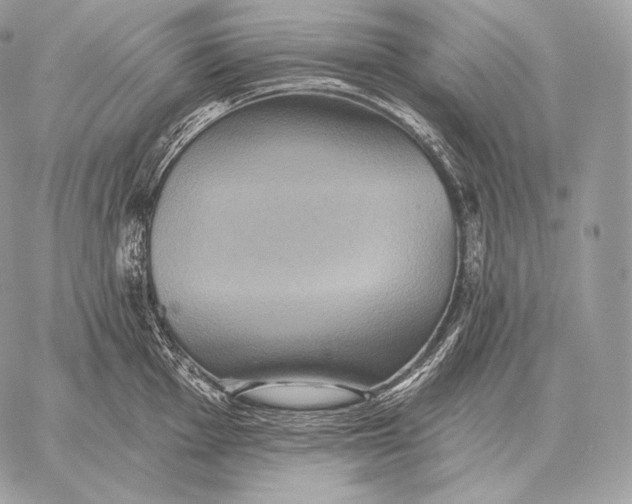 X0000059841001200511111740