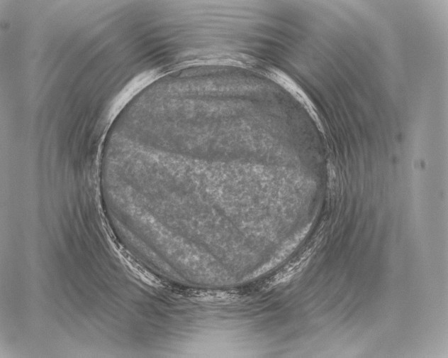 X0000059841002200511111740