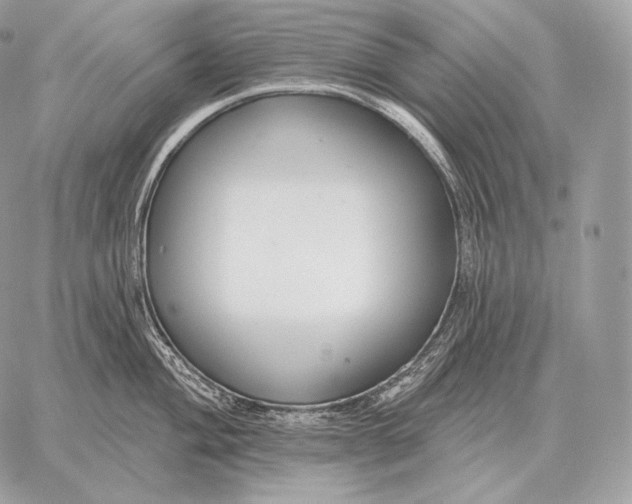 X0000059841004200511111740