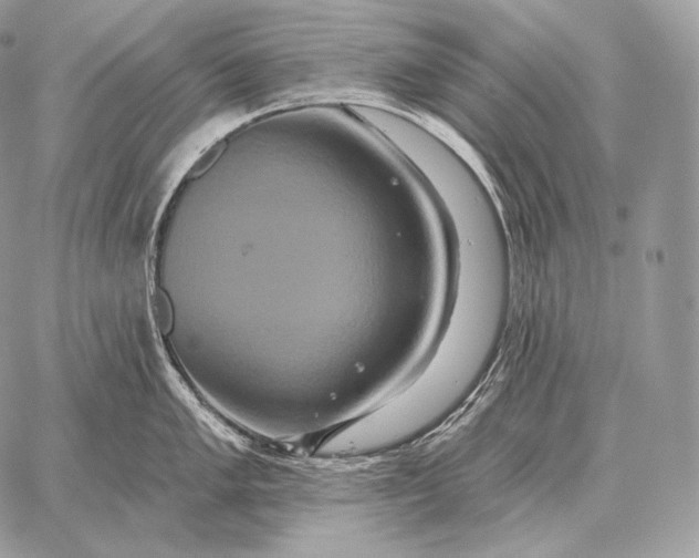 X0000059841005200511111740