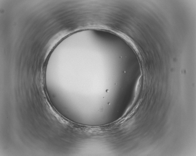 X0000059841006200511111740