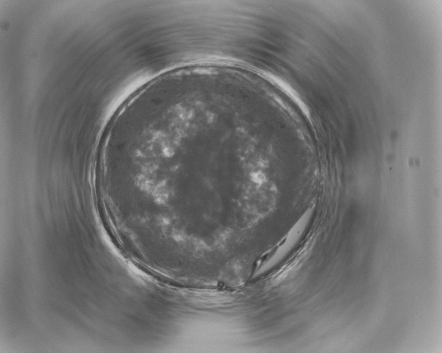 X0000059841007200511111740