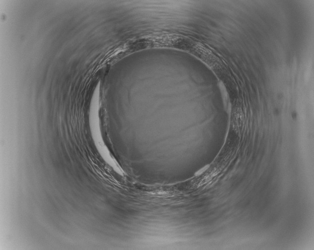 X0000059841010200511111739