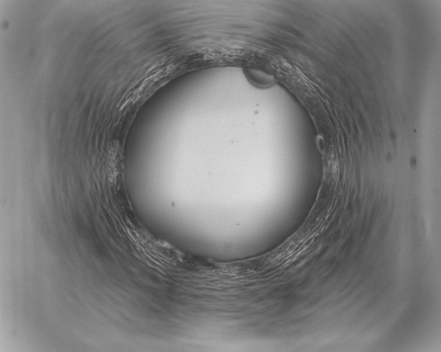 X0000059841012200511111739