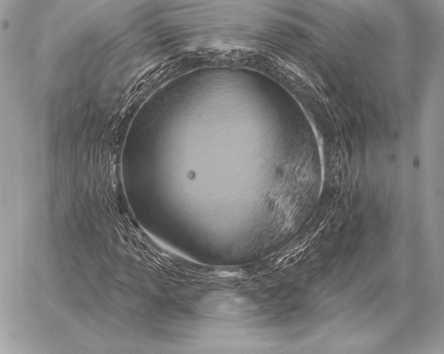 X0000059841013200511111739