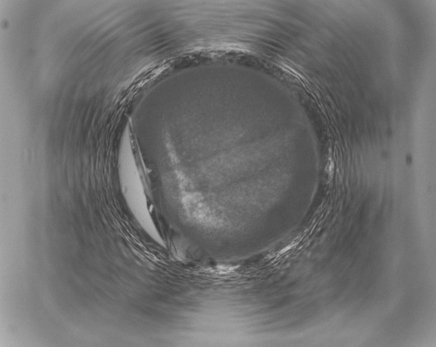 X0000059841014200511111739