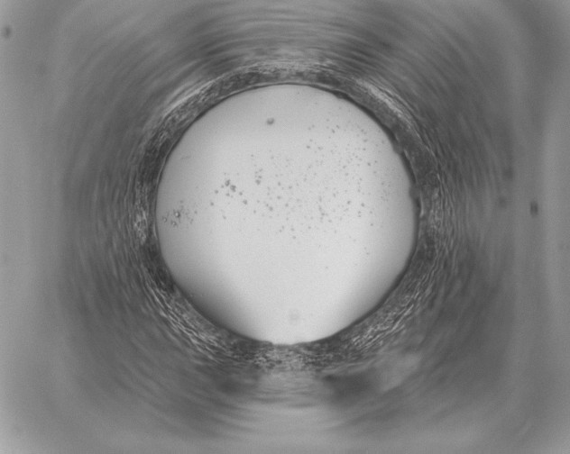 X0000059841015200511111739