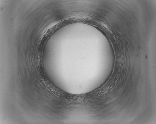 X0000059841016200511111739