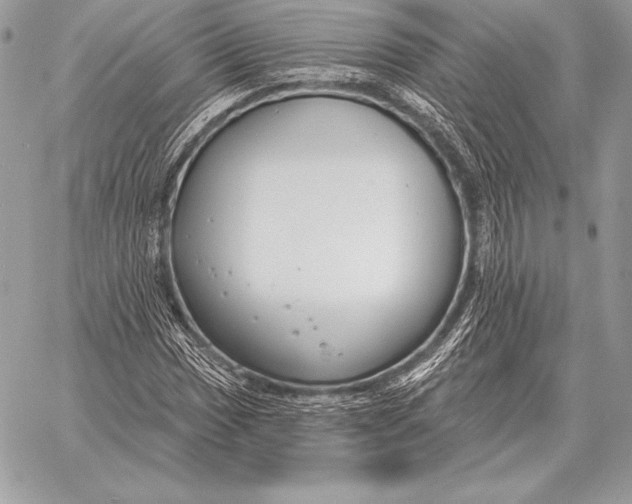 X0000059841017200511111739