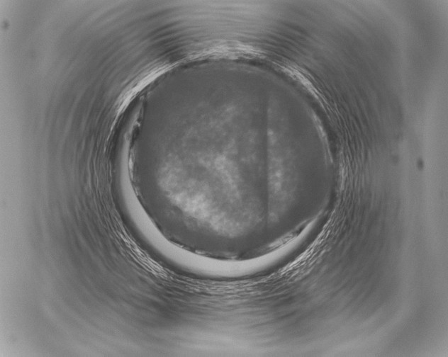 X0000059841018200511111739