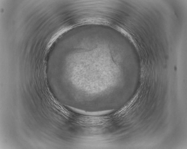 X0000059841019200511111739