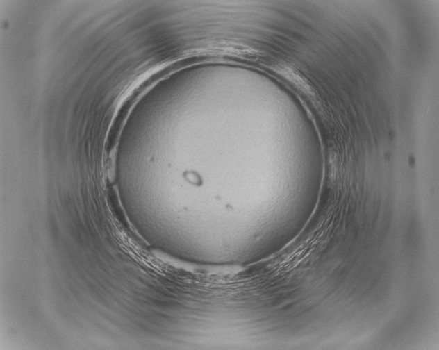 X0000059841020200511111739