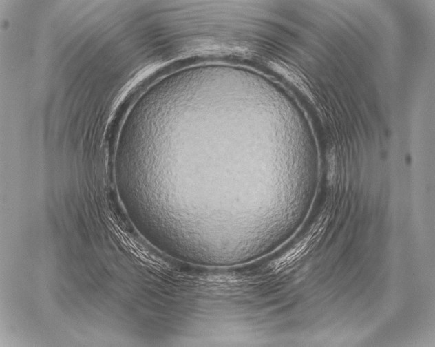 X0000059841021200511111739